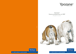 Ypozane® Nuevas perspectivas en HBP
