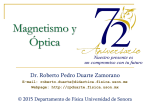 Magnetismo y óptica - Roberto Pedro Duarte Zamorano