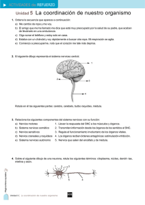 Unidad 5 La coordinación de nuestro organismo