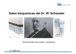 Sales bioquímicas del Dr. W. Schüssler