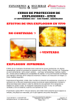 curso de proteccion de explosiones - atex efectos