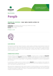 Fengib - Sipcam Iberia