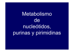 metabolismo purinas y pirimidinas
