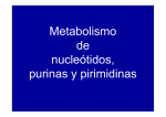 Metabolismo de nucleótidos, purinas y pirimidinas