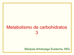 Metabolismo de carbohidratos 3 - Blog 4to Semestre 2