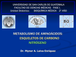 metabolismo de aminoácidos: esqueletos de carbono nitrógeno
