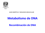 Recombinación de DNA - Genética y Biología Molecular