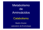 5. Metab. de aminoácidos - Laboratorio de Enzimología