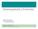 Osmoregulación y Excreción