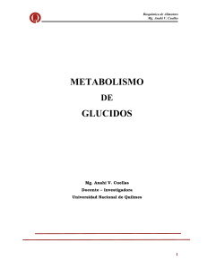 Metabolismo de glucidos - Universidad Nacional de Quilmes