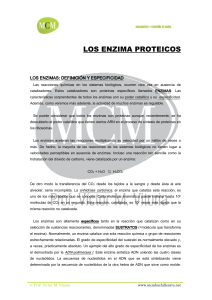 los enzimas - PROFESOR JANO es Víctor M. Vitoria