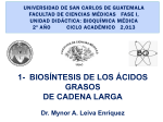 Síntesis de ácidos grasos - Bioquímica