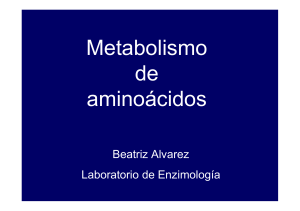 6. Mol. derivadas de aa.