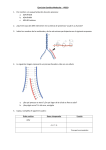 Ejercicios Genética Molecular - 4ºESO 1. Pon nombre a la