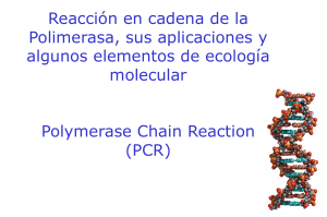 PCR and Its Applications