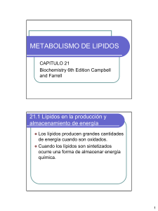 5- Metabolismo de Lipidos