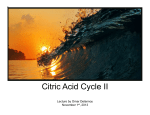 Citric Acid Cycle II