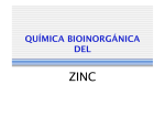 4. Quimica bioinorganica del Zn