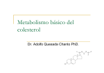 Metabolismo básico del colesterol - Blog 4to Semestre 2
