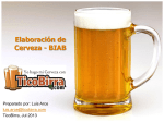 Elaboración de Cerveza - BIAB