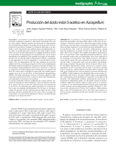 Azospirillum - Bashan Foundation