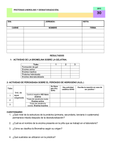 hoja de informe semana 30-2015 a