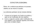 Elementos inorgánicos que actúan como cofactores de enzimas