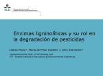 Enzimas ligninolíticas y su rol en la degradación de pesticidas