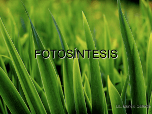 fotosíntesis - WordPress.com