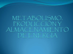 METABOLISMO, PRODUCCION Y ALMACENAMIENTO DE ENERGIA