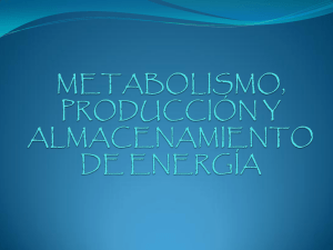 METABOLISMO, PRODUCCION Y ALMACENAMIENTO DE ENERGIA