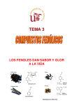TEMA 3 - BioScripts
