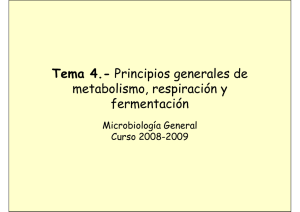 Principios generales de metabolismo, respiración y fermentación