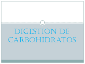 Digestion de Carbohidratos