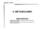 2 Metabolismo