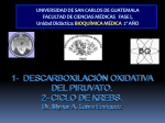 1- DESCARBOXILACIÓN OXIDATIVA DEL PIRUVATO. 2