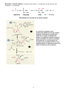 Mecanismo de reacción de la citrato sintasa