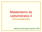CLASE Metab carbo 4 Gluconeo
