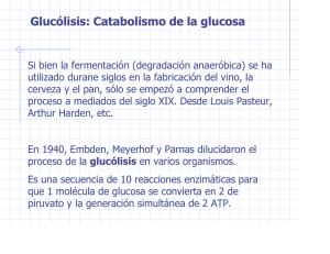 Glucólisis: Catabolismo de la glucosa