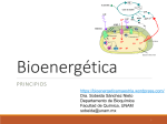 Bioenergética FOSFORILACION NIVEL SUSTRATO