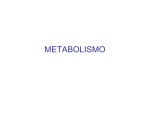 metabolismo - Profesora Maribel Arnes