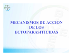 MECANISMOS DE ACCION DE LOS ECTOPARASITICIDAS