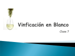 Vinficación en Blanco