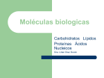 Moléculas biologicas - Apoyo para la Fac. de Odontología – USAC