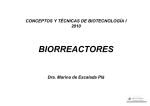 Reactores biológicos 9-2010 Marina