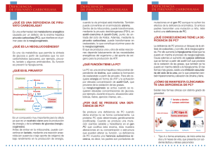 Tríptico de la deficiencia de piruvato carboxilasa en formato pdf