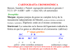 CARTOGRAFÍA CROMOSÓMICA