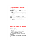 Gregor Johann Mendel Redescubrimiento de Mendel