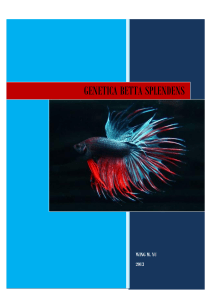 Betta Splenden (Genetica y Coloraciones).docx