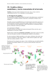 18.- Genética clásica: mendelismo y teoría cromosómica de la